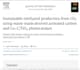 write professional sustainability and environmental sciences articles and blogs