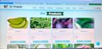 create a modern responsive website using HTML CSS js react