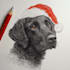 draw your christmas pet portrait