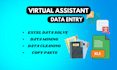 be your expert virtual assistant for data entry, web research and excel task