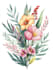 illustrate best botanical illustration
