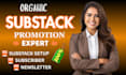 setup substack newsletter design, substack promotion, substack subscriber
