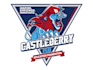 create eye catching castleberry isd education logo design