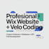 build a professional wix website with velo coding, API integration and database