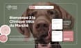 design figma, adobe xd, PSD and build website on wordpress elementor