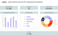 make professional excel dashboards and interactive reports