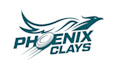 create professional bird phoenix logo t shirt design