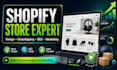 build shopify store design shopify dropshipping SEO marketing expert