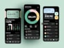 develop loan app, uiux, payment gateway, fintech app, banking API integration