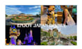 plan a family trip to japan including tokyo disney