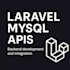 fix laravel issues, bugs, errors or backend problems