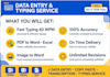 do data entry, ms excel formulas, ms word typing, and PDF to word expert