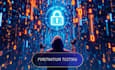 perform web application penetration testing