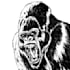 make black and white illustrations