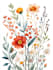 draw a botanical illustration