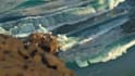 create water simulation 3d fluid animation water splash liquid houdini water