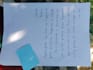 provide neat, aesthetic handwritten notes and assignments