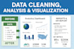 clean, analyze and visualize your data