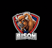 make high quality bison mascot logo with t shirt design