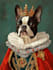 make paint custom pet portrait, dog portrait pet drawing in