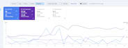 do complete SEO for custom website