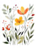 draw a botanical illustration