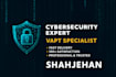 perform web penetration testing and vapt with report