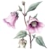 do beautiful botanical plants and flowers