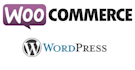 customize, fix and update wordpress website