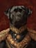 draw your pet into pet portrait illustration