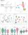 design scientific publication figures, conceptual diagrams