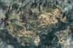 illustrate fantasy map and city map