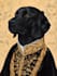 draw pet portrait, dog portrait, cat portrait