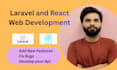 develop a full stack web application with laravel react