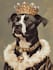 create an epic pet portrait dog portrait cat potrait