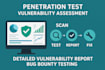 penetration testing, ethical hacking vulnerability assessment services
