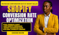 audit shopify drop shipping store seo with shopify conversion rate optimization