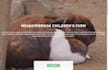 make a business website