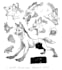 create furry and artho character art and design