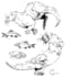 create hand drawn custom coloring pages