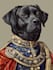 draw custom pet portrait or animal art