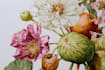 make a fabulous botanical illustration