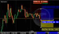 code tradingview indicator ctrader cbot ninjatrader nt8 mt5 mt4 expert advisor