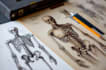 do detailed scientific figures illustrations