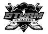 design luxury hockey logo