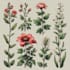 illustrate best botanical illustration