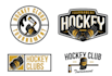 design beautiful hocky logo