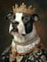 custom pet portrait, dog portrait, cat portrait drawing