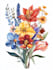 draw botanical illustrations of flowers