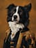 draw custom pet portrait or pet illustration